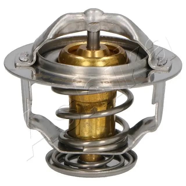 Thermostat d'eau ASHIKA