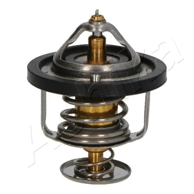 Thermostat d'eau ASHIKA