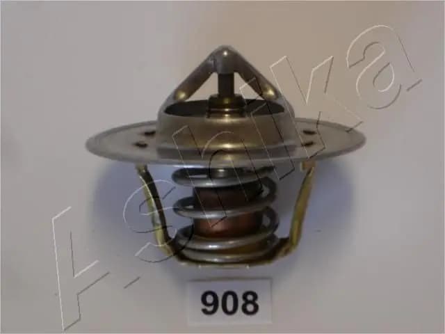 Thermostat d'eau ASHIKA