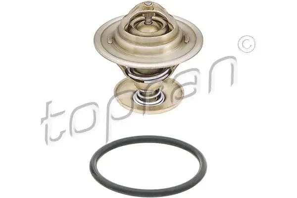 Thermostat d'eau TOPRAN