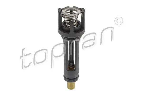 Thermostat d'eau TOPRAN
