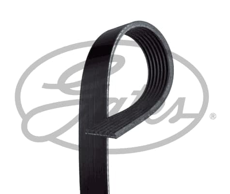 Courroie d'accessoire