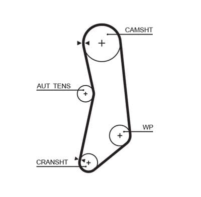 Courroie de distribution PowerGrip™