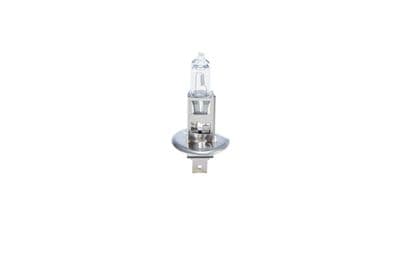 Ampoule, projecteur longue portée ECO Truck WS