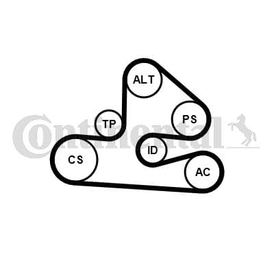 Jeu de courroies trapézoïdales à nervures