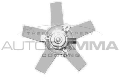 Ventilateur, refroidissement du moteur