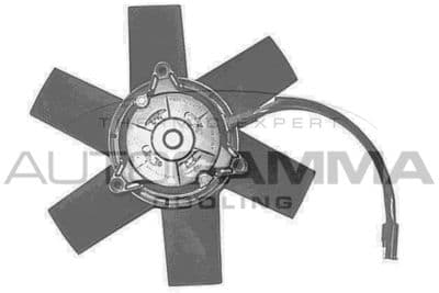 Ventilateur, refroidissement du moteur