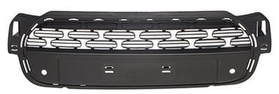 Grille de radiateur