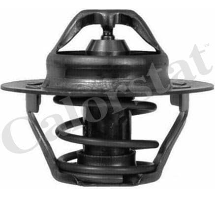 Thermostat/calorstat