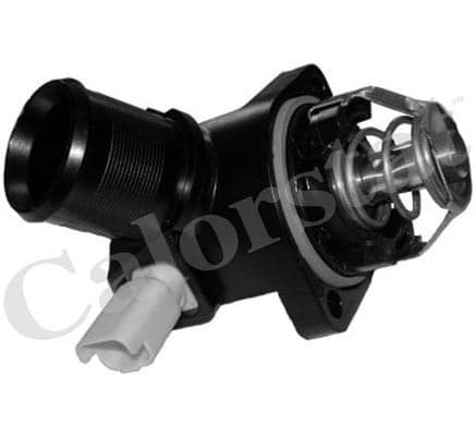 Thermostat/calorstat