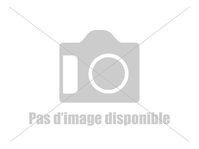 Etrier de frein avant