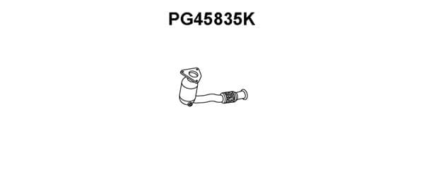 Catalyseur