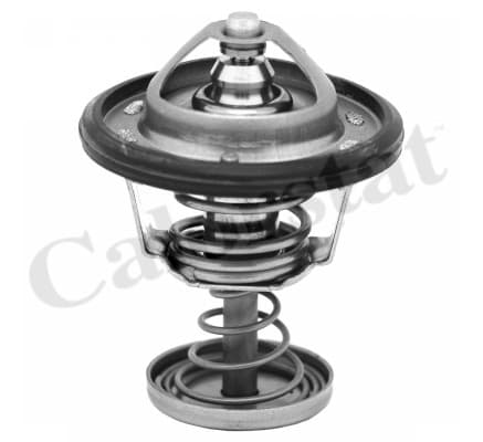 Thermostat/calorstat