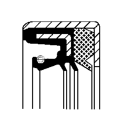 Joint spi transmission