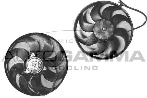 Ventilateur, refroidissement du moteur