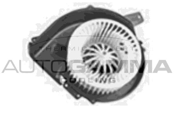 Pulseur d'air habitacle