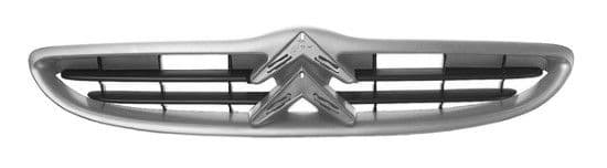 Grille de radiateur