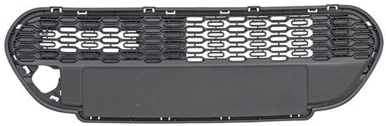 Grille de radiateur