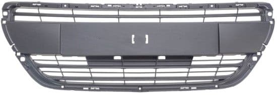 Grille de radiateur