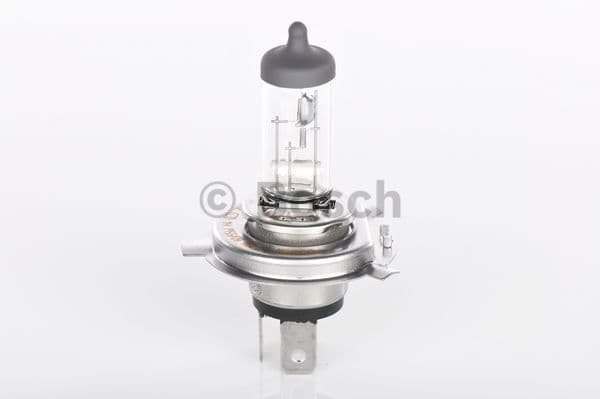 Ampoules