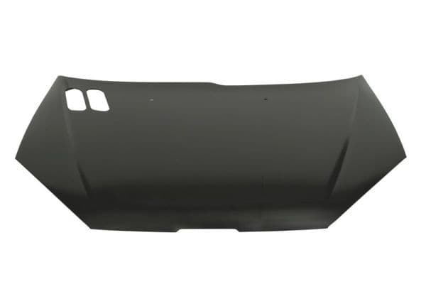 Capot-moteur P206