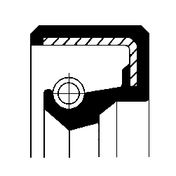 Joint spi transmission