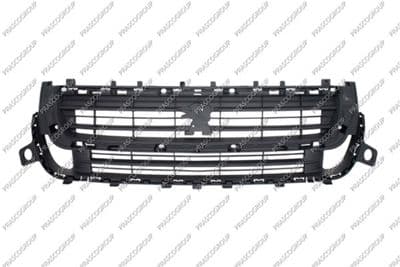 Grille de radiateur