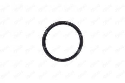 Bague d'étanchéité, gaine de suralimentation