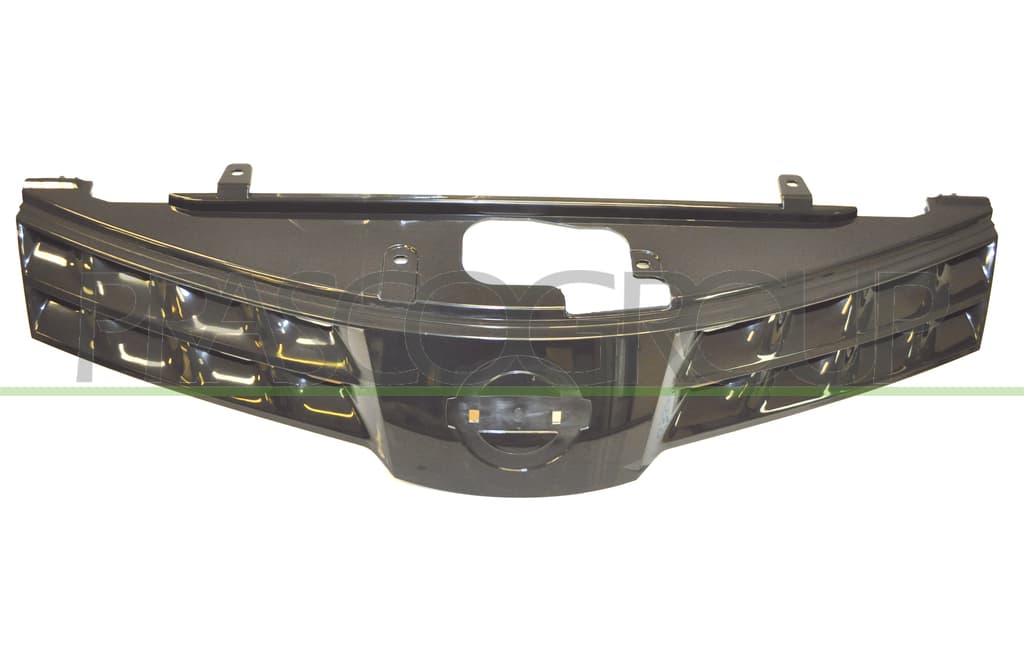 Grille de radiateur Premium