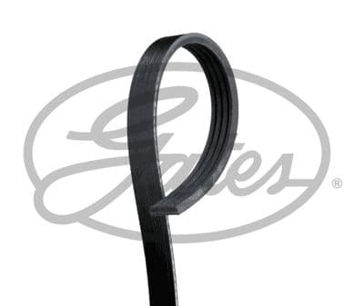 Courroie trapézoïdale à nervures Micro-V® Stretch Fit®