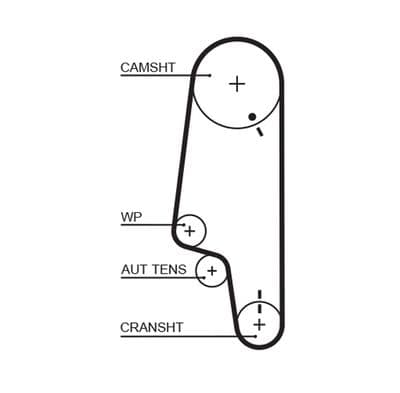 Courroie de distribution PowerGrip®
