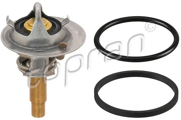 Thermostat d'eau TOPRAN