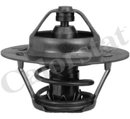 Thermostat/calorstat